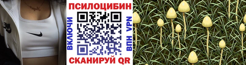 Псилоцибиновые грибы Magic Shrooms  Купить  Куса 