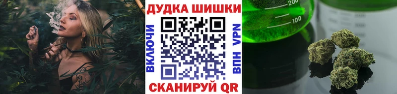 Бошки марихуана ГИДРОПОН  Купить где  Куса 